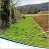 Zones tampons : un guide d’aide à l’implantation en situation agricole