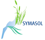 logo SYMASOL logo SYMASOL