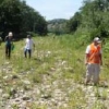 La gestion des espèces envahissantes dans le bassin versant de l’Azergues La gestion des espèces envahissantes dans le bassin versant de l’Azergues