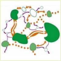 Élaboration des Schémas régionaux de cohérence écologique