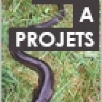 [Image Onema] Appel à projets - Repeuplement anguille