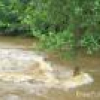 Inondation
