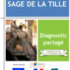 Diagnostic partagé - SAGE de la Tille