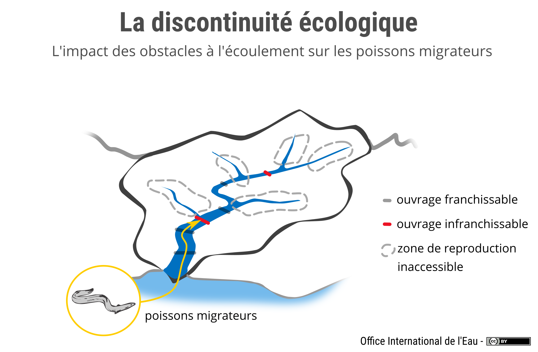 Les obstacles à l'écoulement et leurs impacts