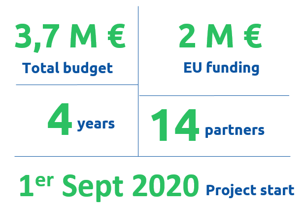 Key figures of the project