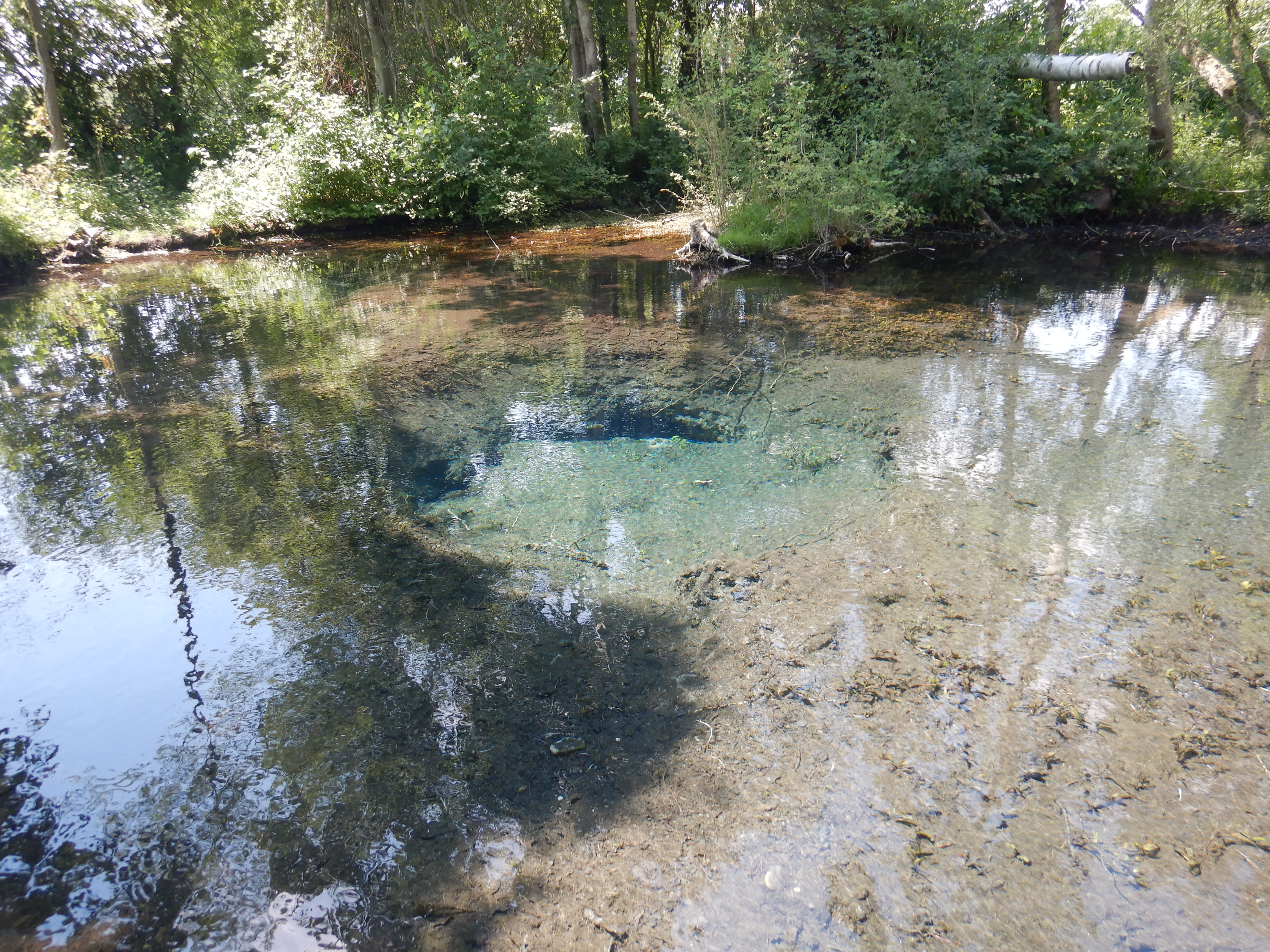 Cours d’eau phréatique Trulygraben (67) – Source : Région Grand Est