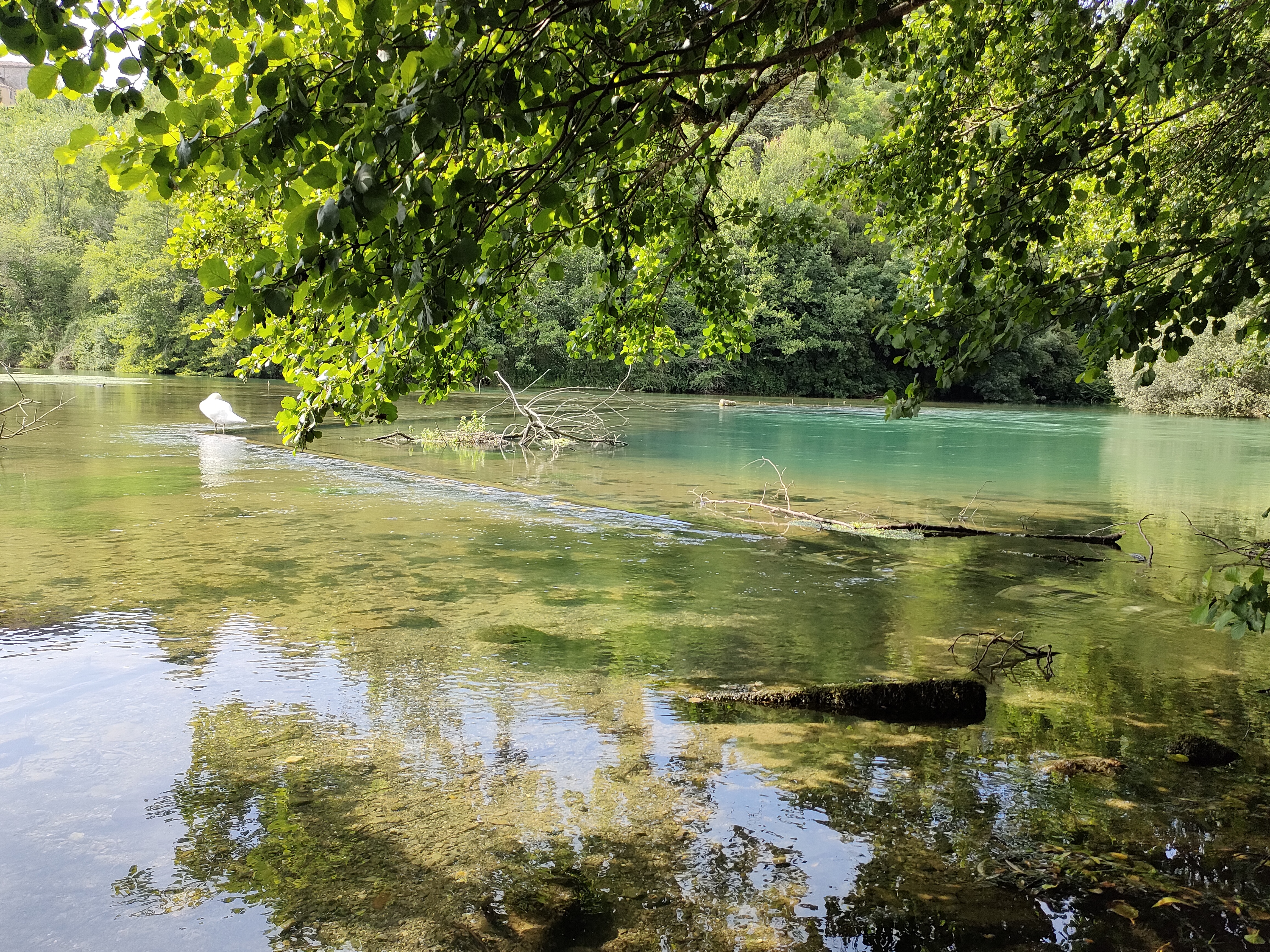 Sources de la Touvre