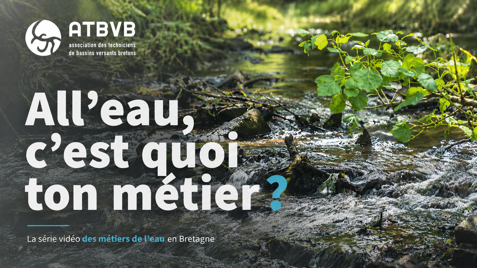 Visuel Alleau