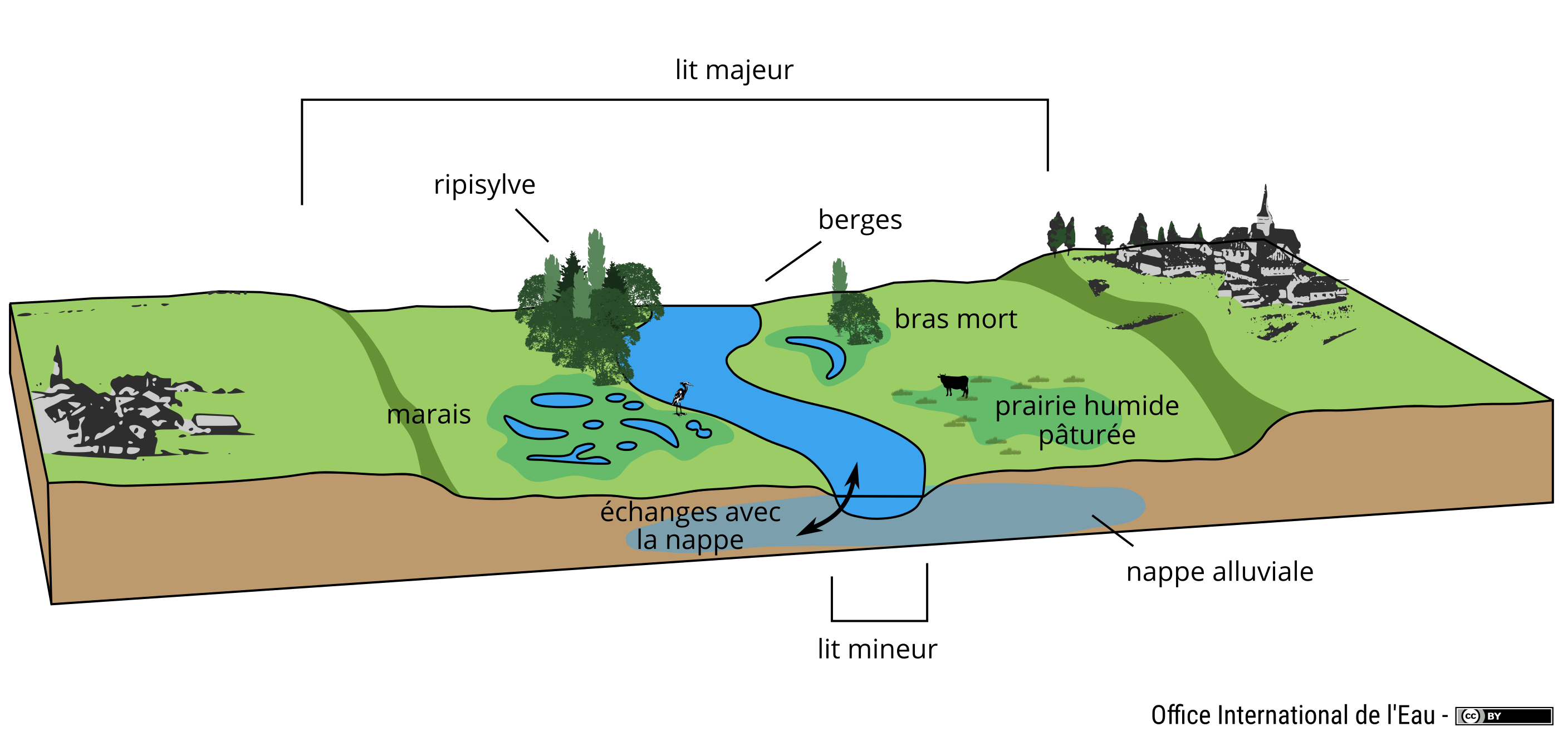 Schéma du lit majeur d'un cours d'eau