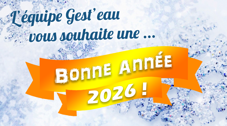 bonne année 2026