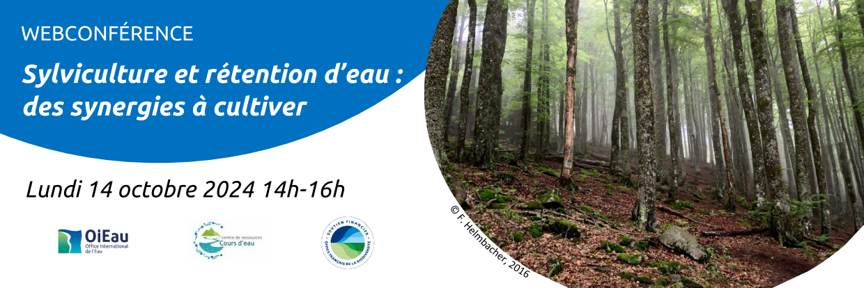 webconf forêts