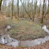 Une MNRE en forêt de Chaux (crédits Frédéric Sassard)