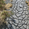 Quelques informations sur la sécheresse